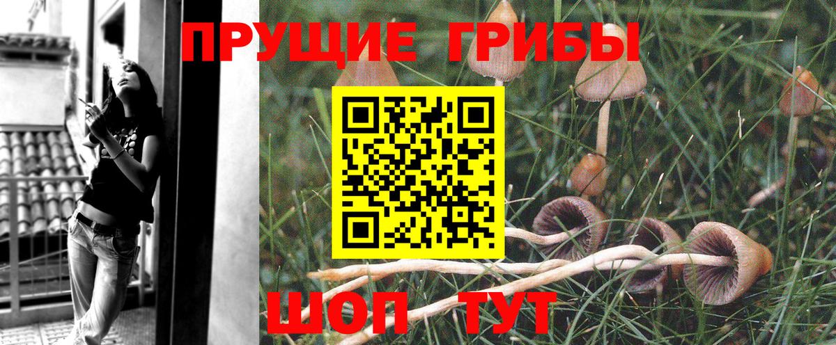 Дедовск  Псилоцибиновые грибы MAGIC MUSHROOMS  Вход с VPN  Псилоцибиновые грибы Psilocybine cubensis 