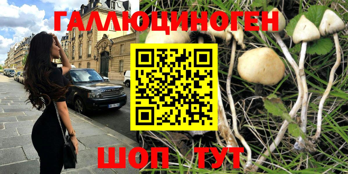 Псилоцибиновые грибы ЛСД Дедовск